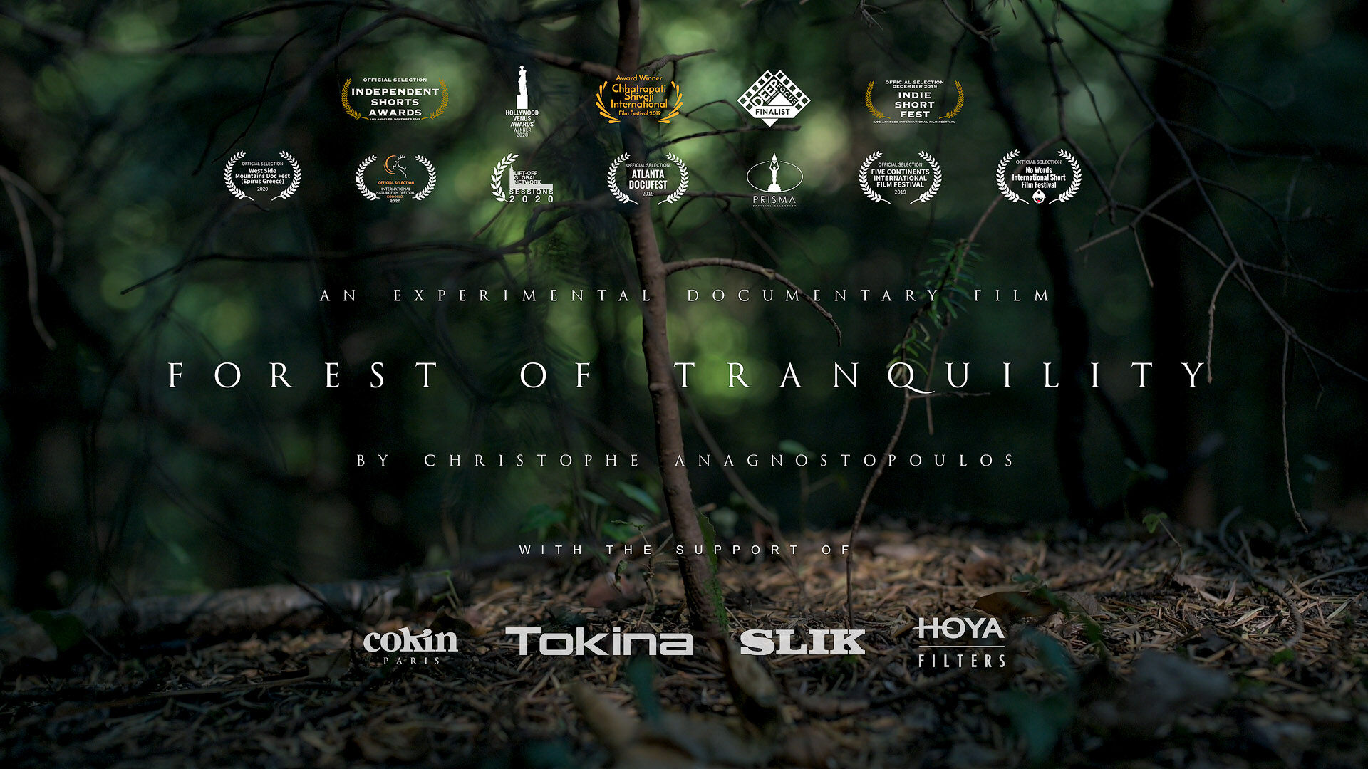 Best Cinematography Award for Forest of Tranquility