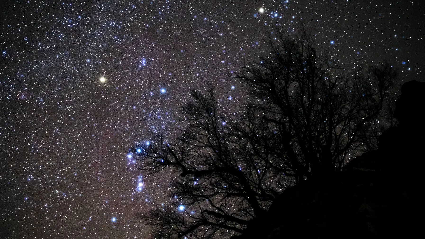 Betelgeuse, Aldebaran and Orion